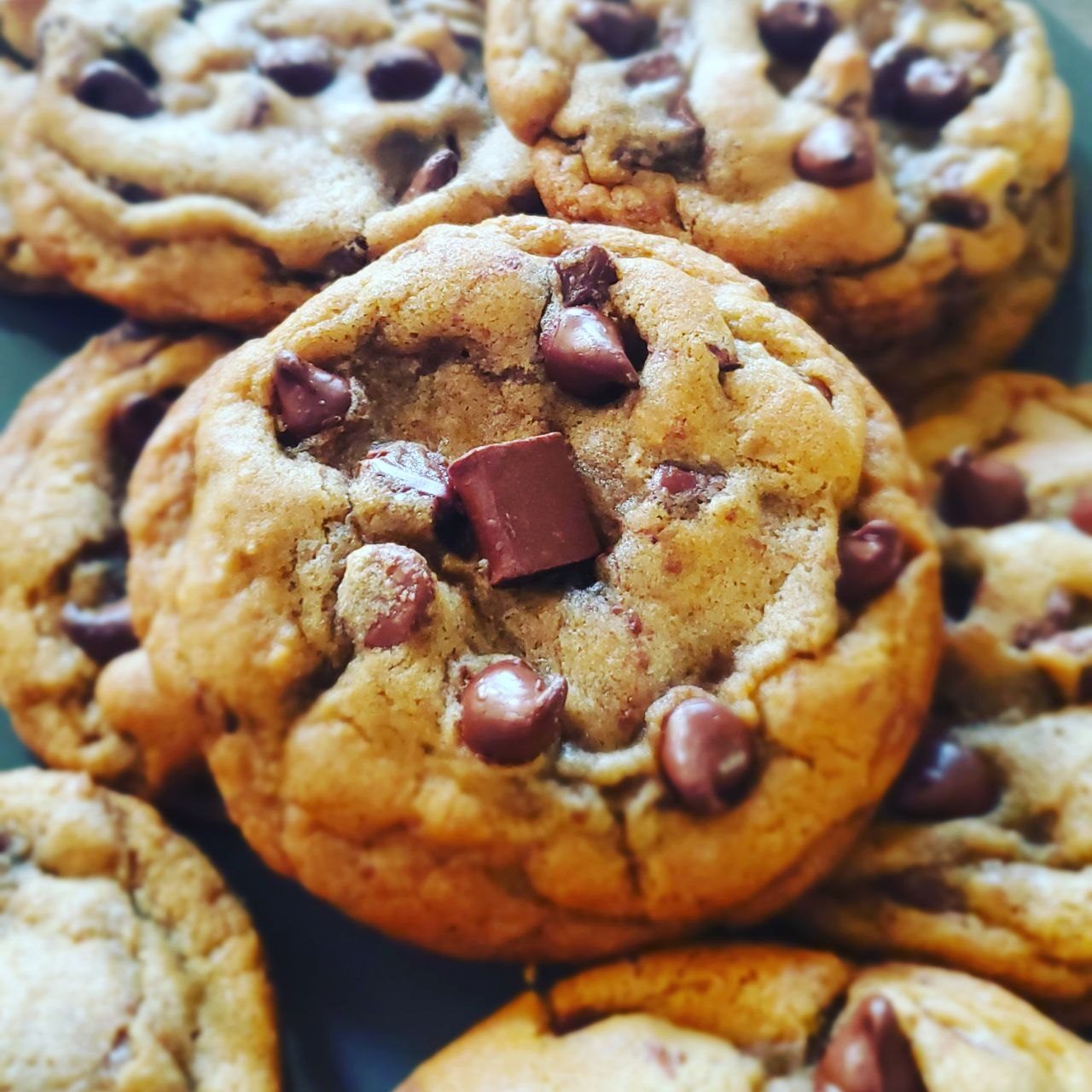 Warm chocolate chip cookies fresh from the oven